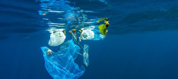Choosing the right products to help the einvironment packaging and the environment